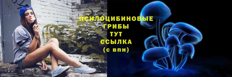 Галлюциногенные грибы Cubensis  где купить наркоту  Зея 